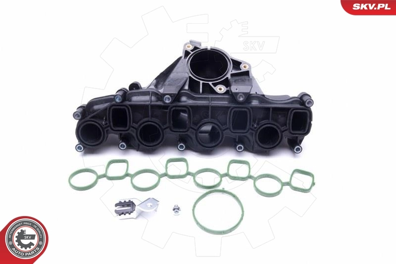 Intake Manifold Module 49SKV041