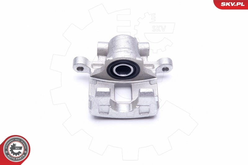 Brake Caliper 45SKV604