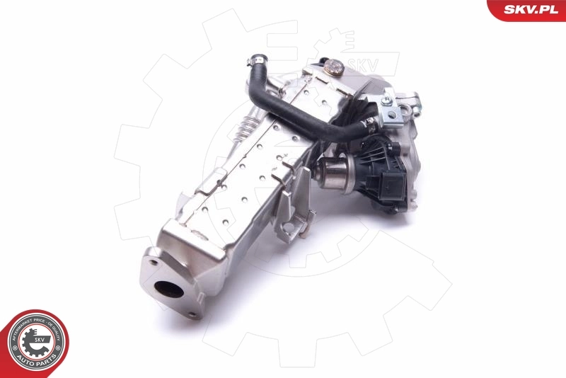 EGR Valve 14SKV235