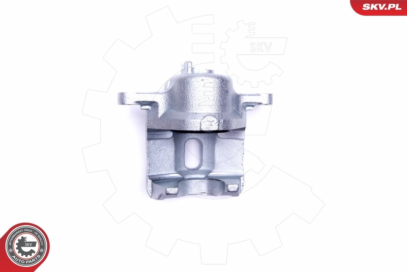 Brake Caliper 46SKV151