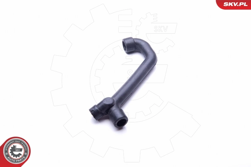 Hose, crankcase ventilation 31SKV113