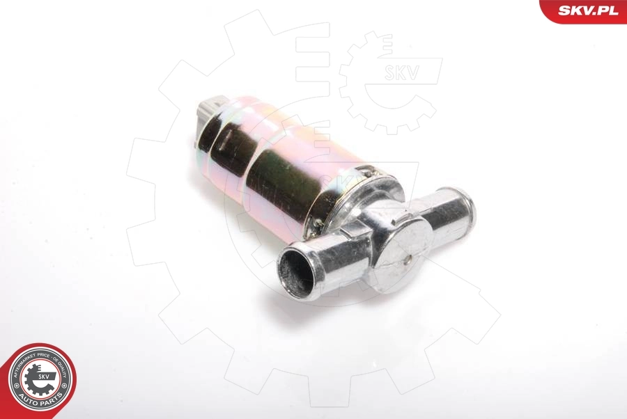 ESEN SKV 08SKV202 Idle Control Valve, air supply