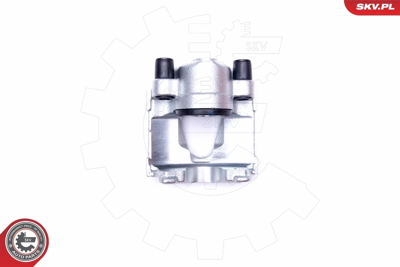 Brake Caliper 42SKV681