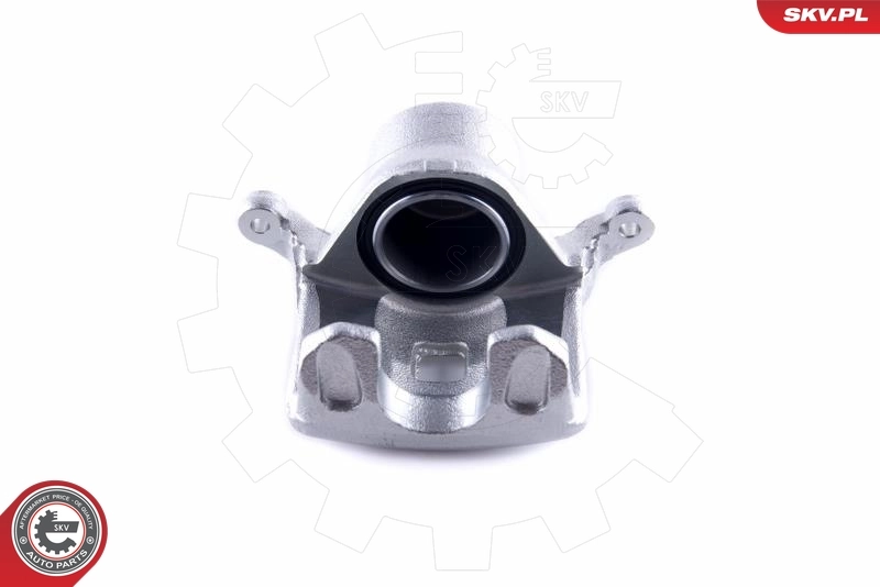 Brake Caliper 55SKV062