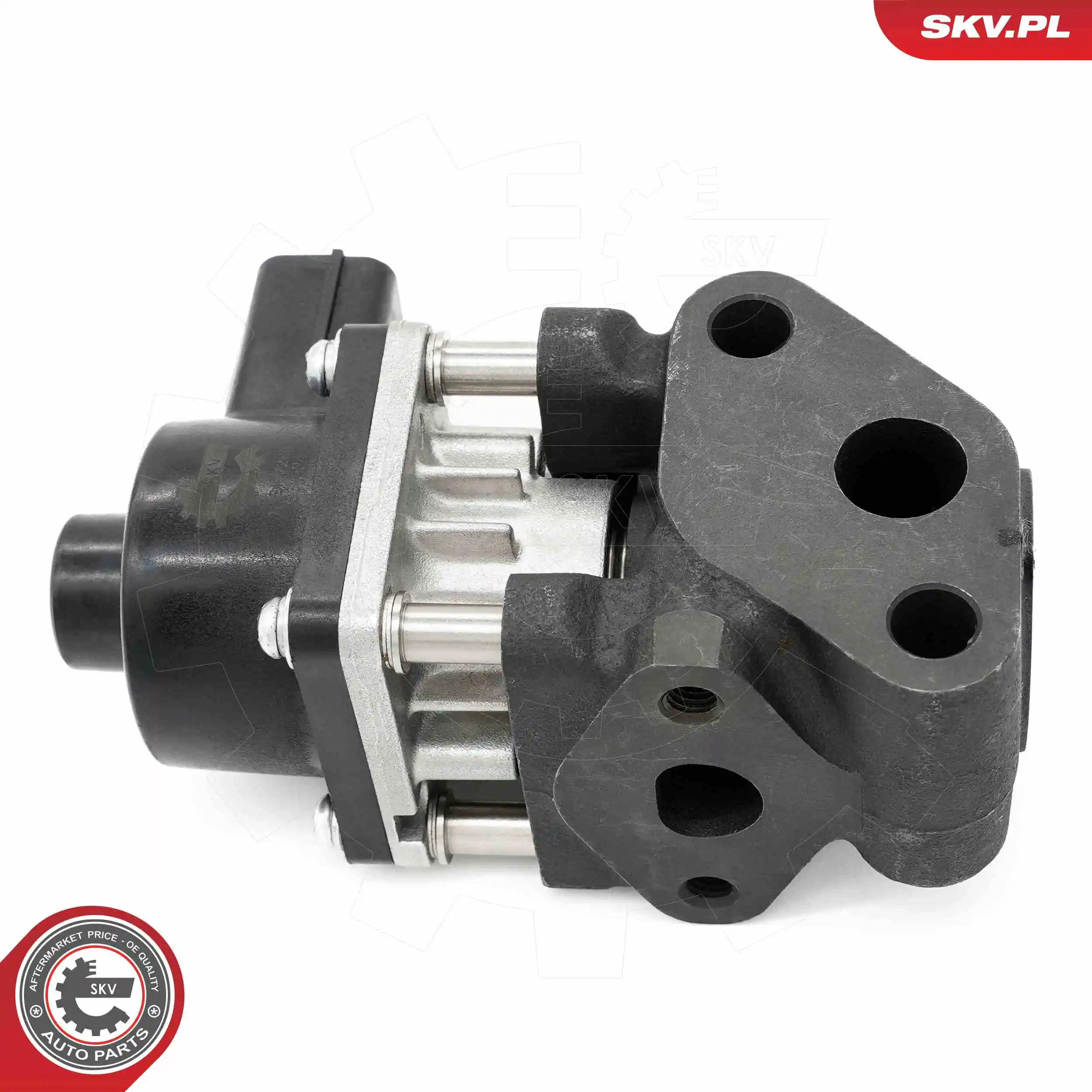 ESEN SKV 14SKV260 EGR Valve
