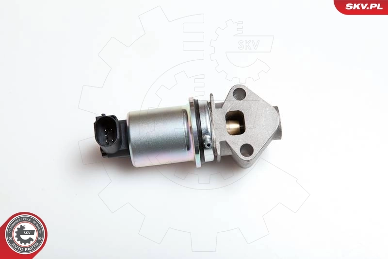 EGR Valve 14SKV043