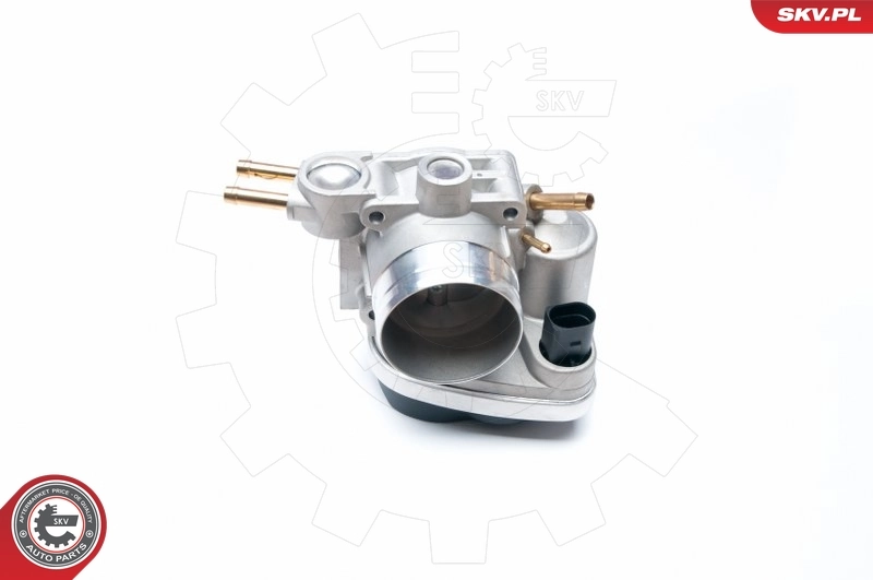 Throttle Body 12SKV048
