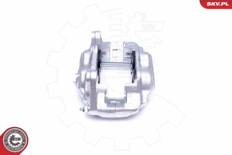 Brake Caliper 42SKV832