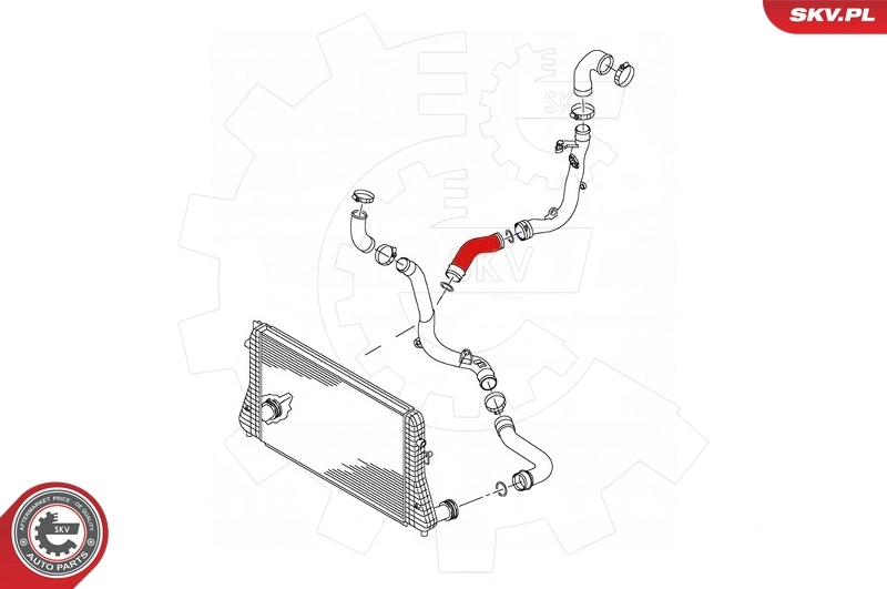 Charge Air Hose 43SKV419