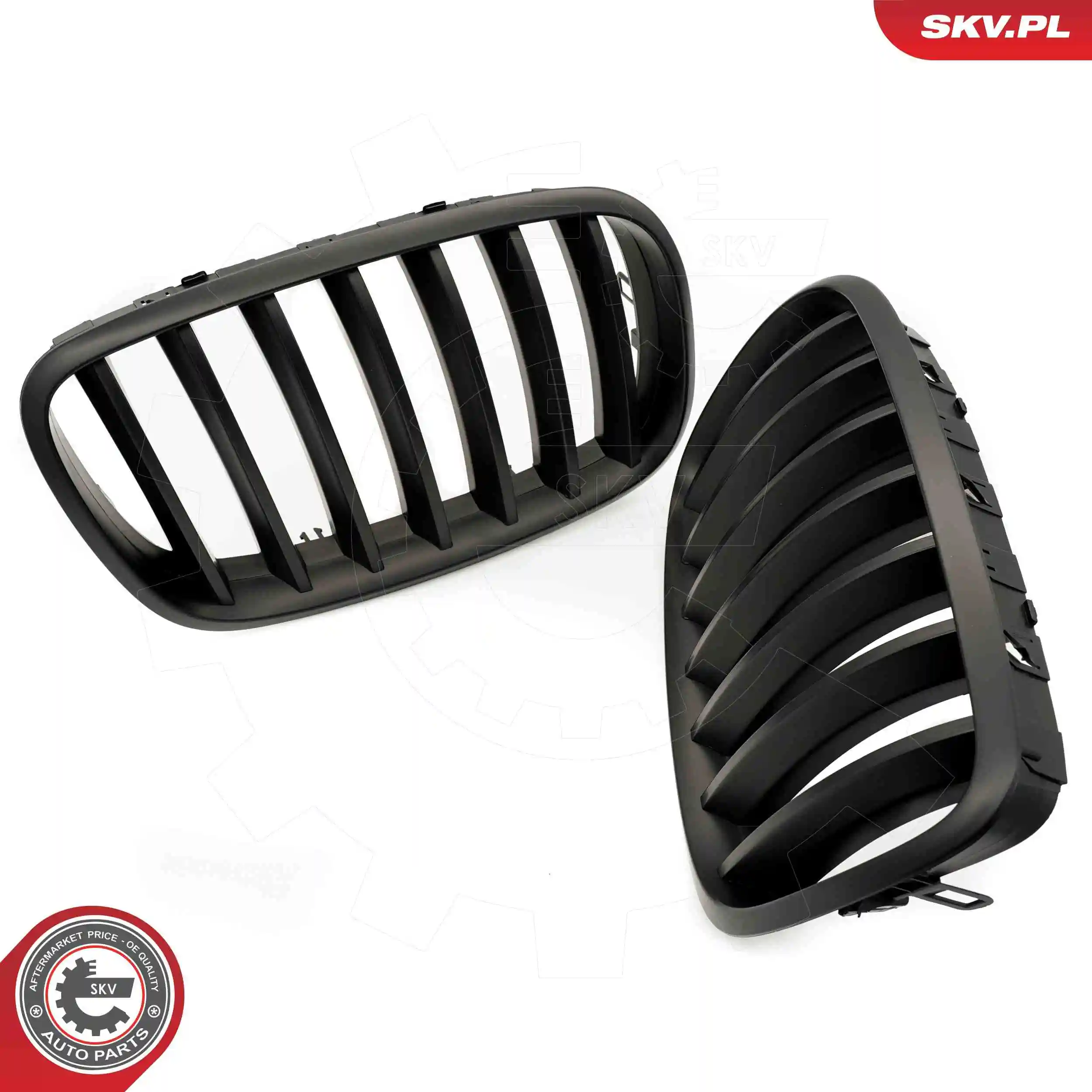 ESEN SKV 66SKV284 Radiator Grille