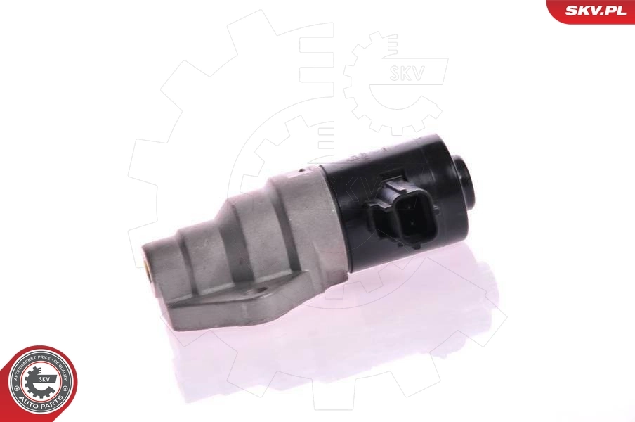 ESEN SKV 08SKV228 Idle Control Valve, air supply