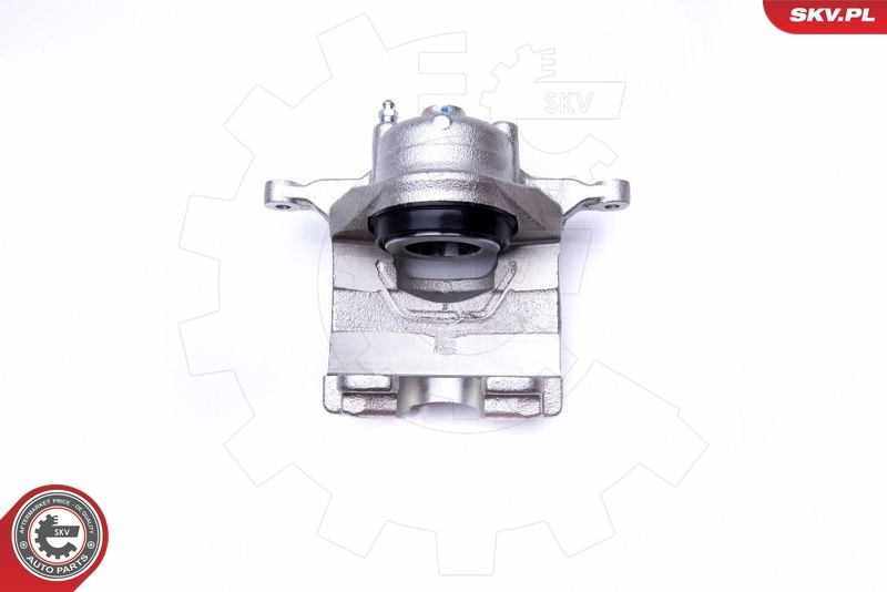 Brake Caliper 42SKV501