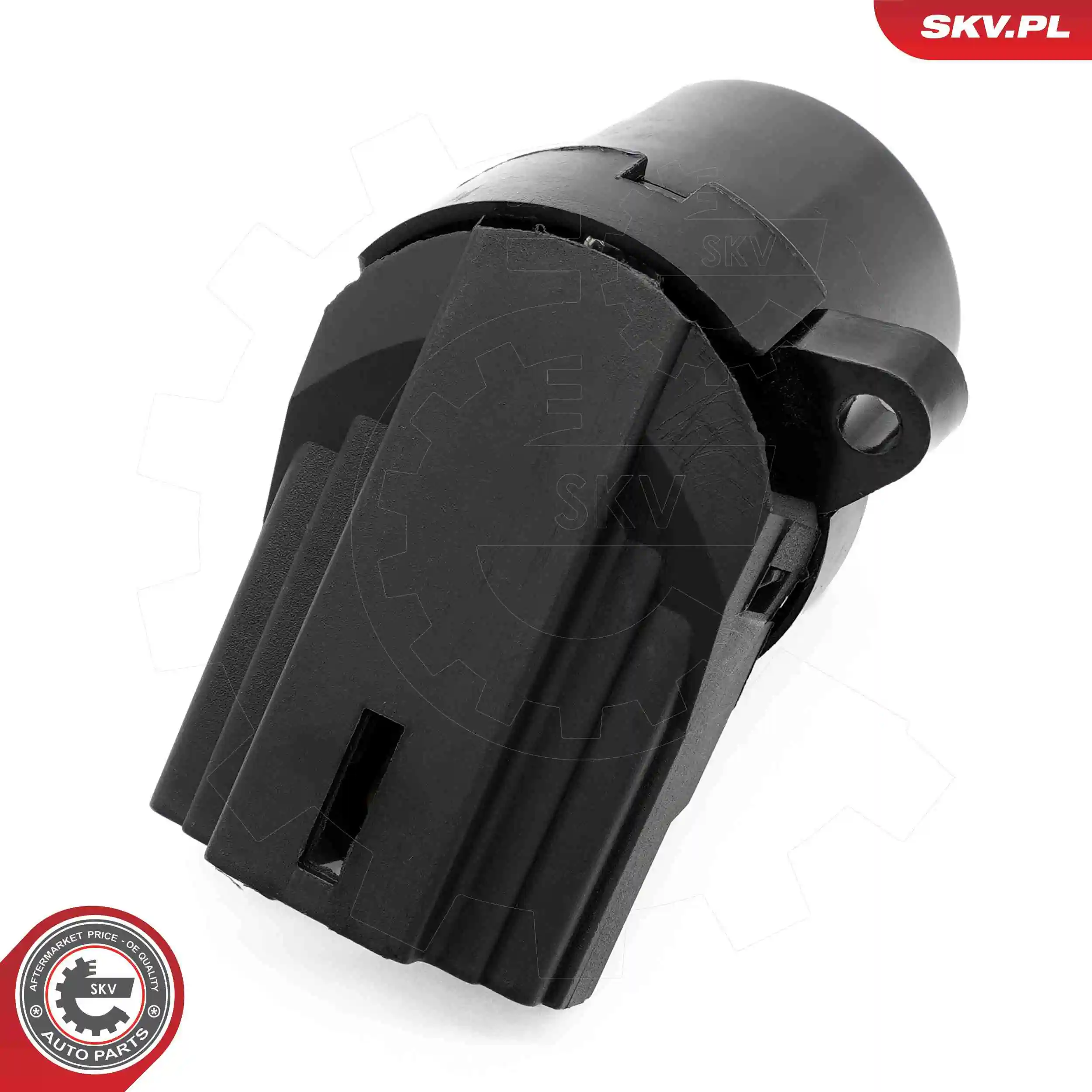 Ignition Switch 65SKV043