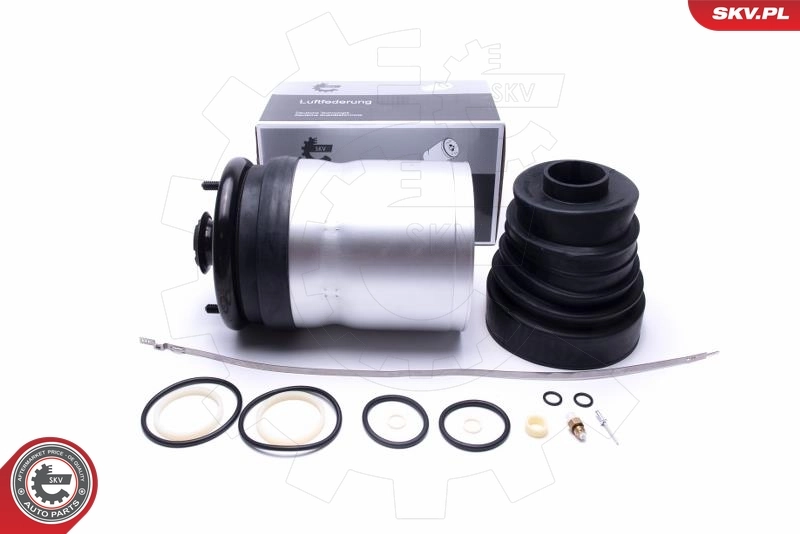 Air Suspension Strut 58SKV059