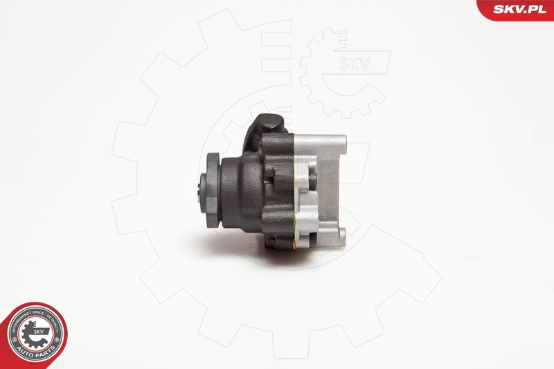 Hydraulic Pump, steering 10SKV094