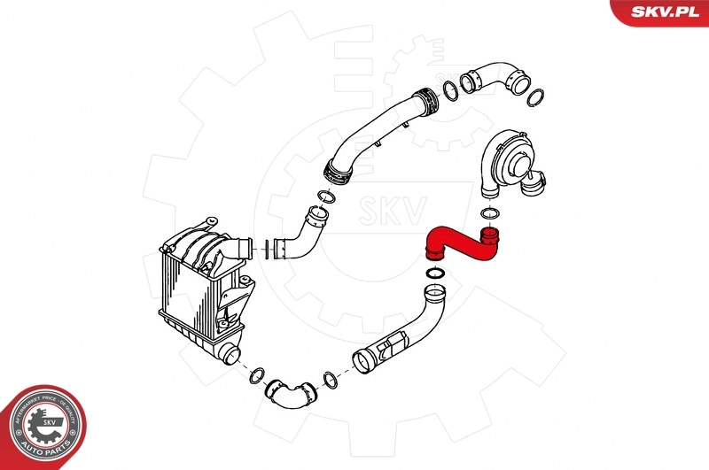 Charge Air Hose 24SKV647