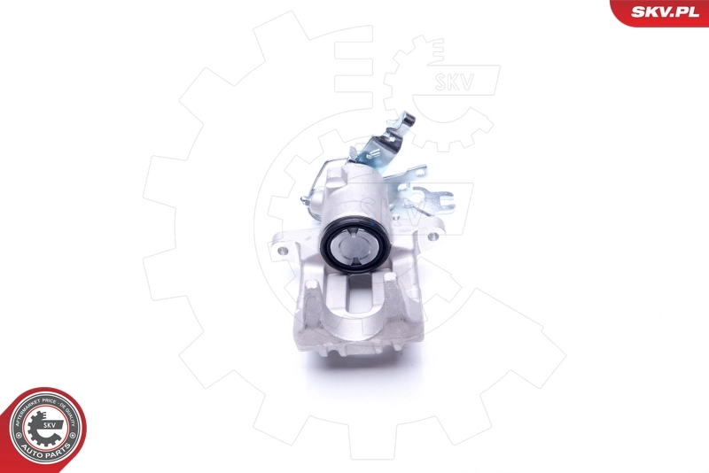 Brake Caliper 42SKV043