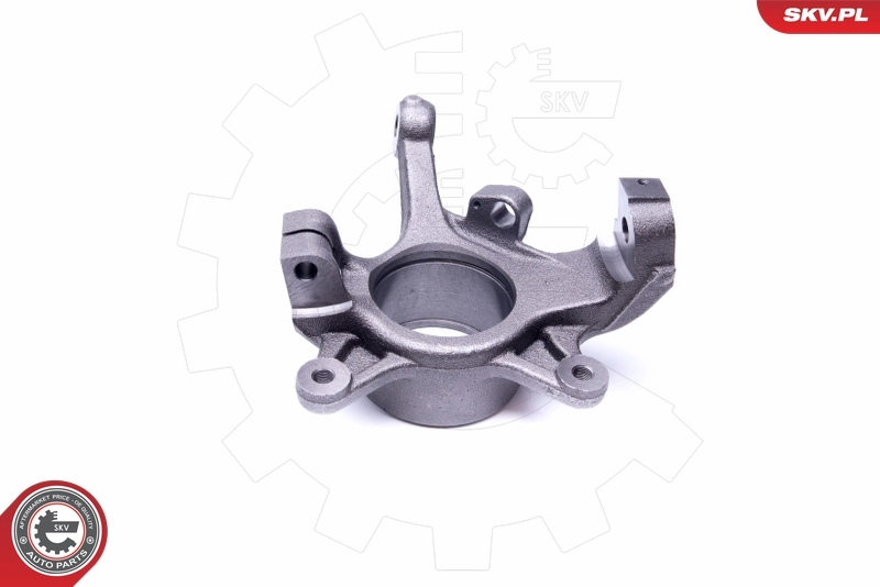 Steering Knuckle, wheel suspension 47SKV221