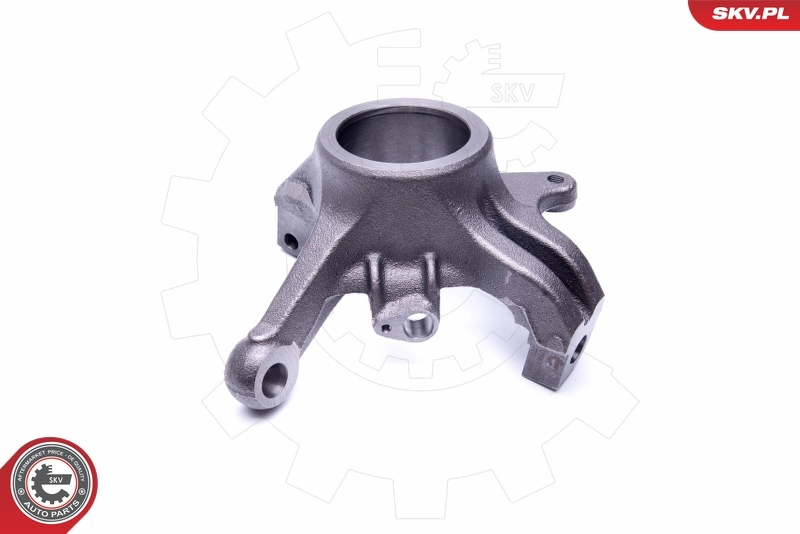 Steering Knuckle, wheel suspension 47SKV221