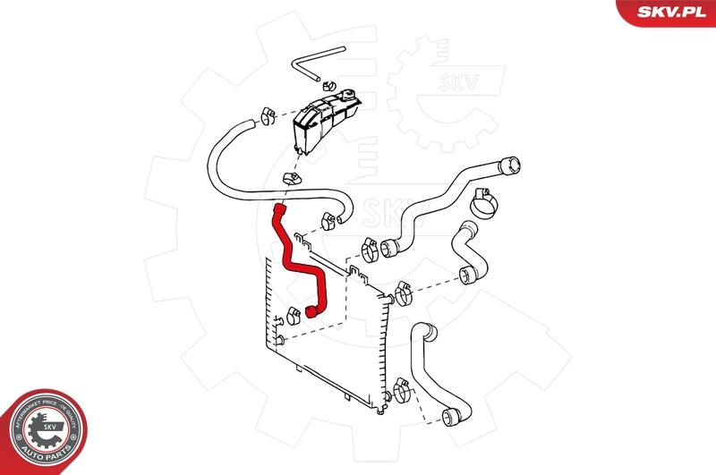 Radiator Hose 24SKV300
