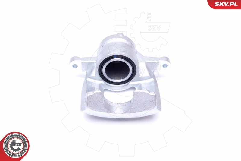 Brake Caliper 44SKV002
