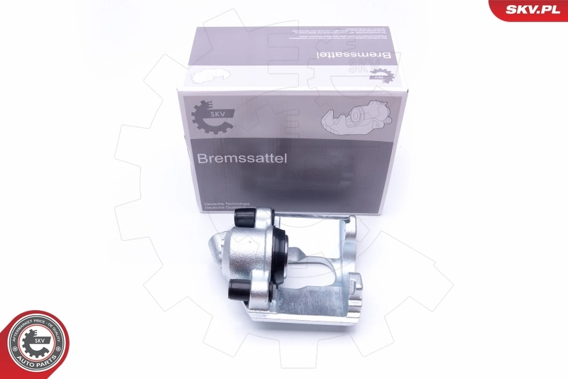 Brake Caliper 42SKV192