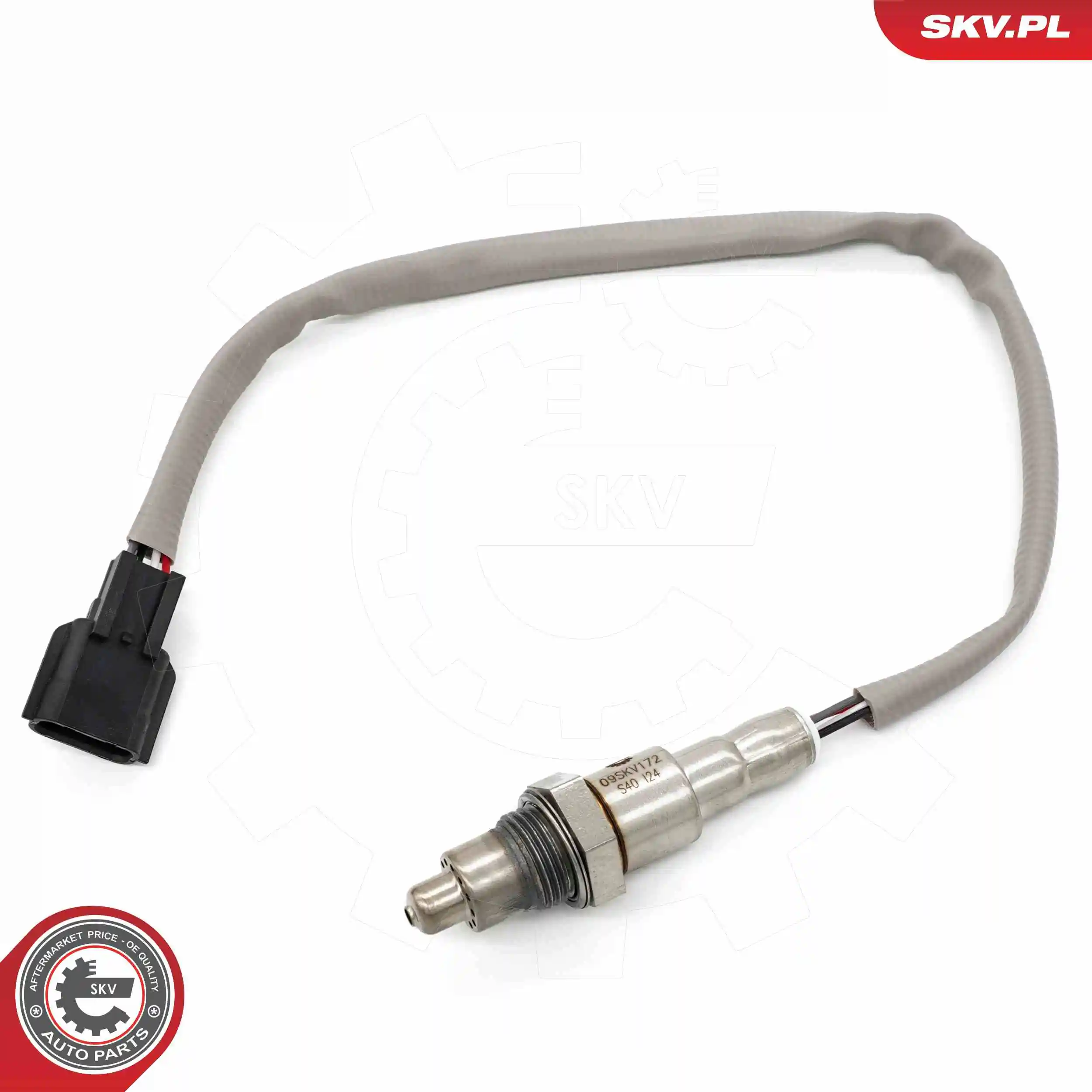 Oxygen Sensor 09SKV172