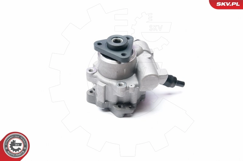 Hydraulic Pump, steering 10SKV233