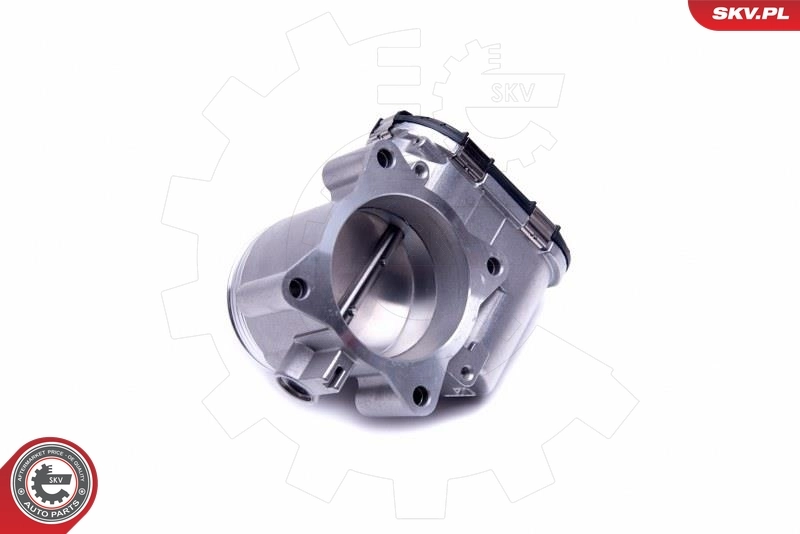 Throttle Body 12SKV088