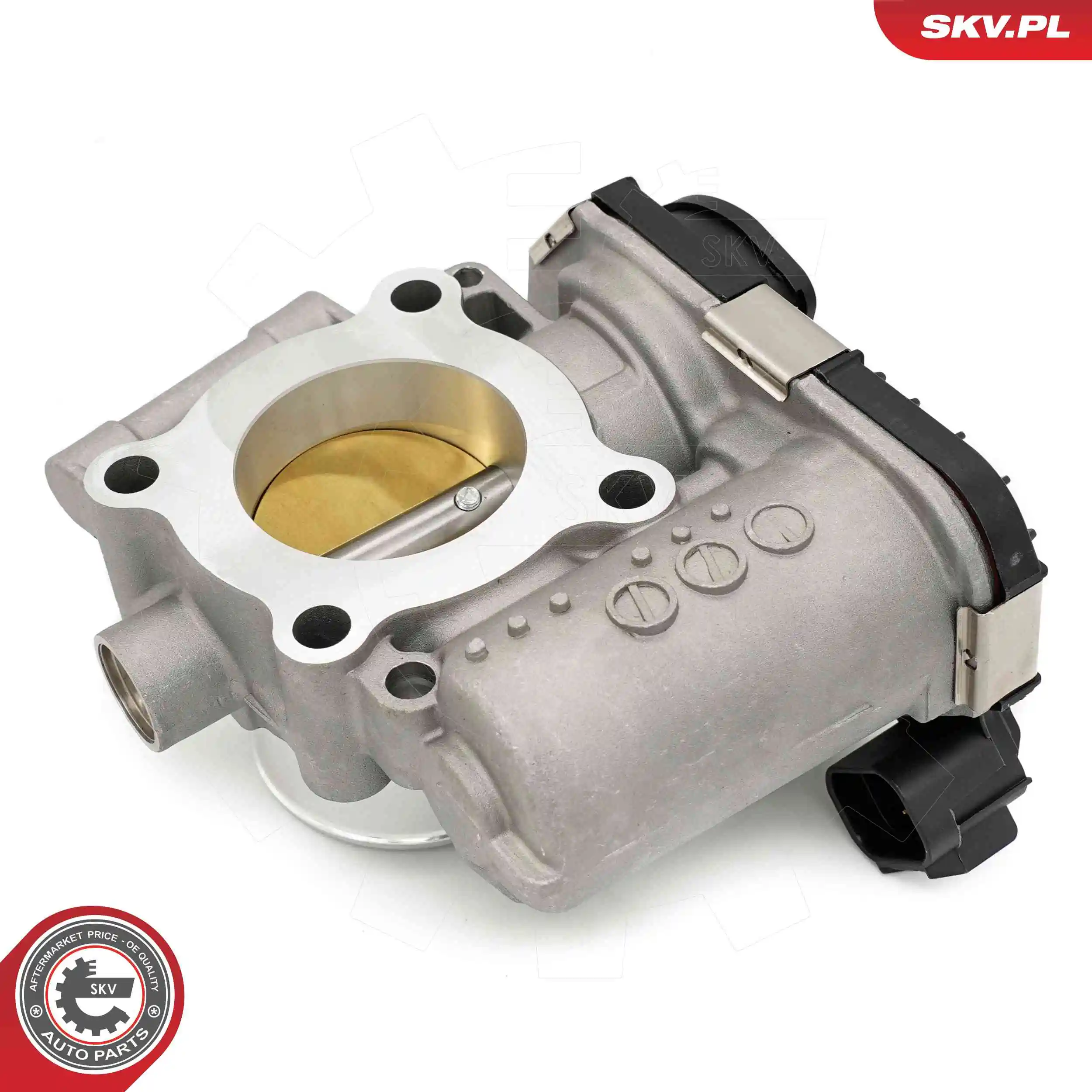 Throttle Body 12SKV135