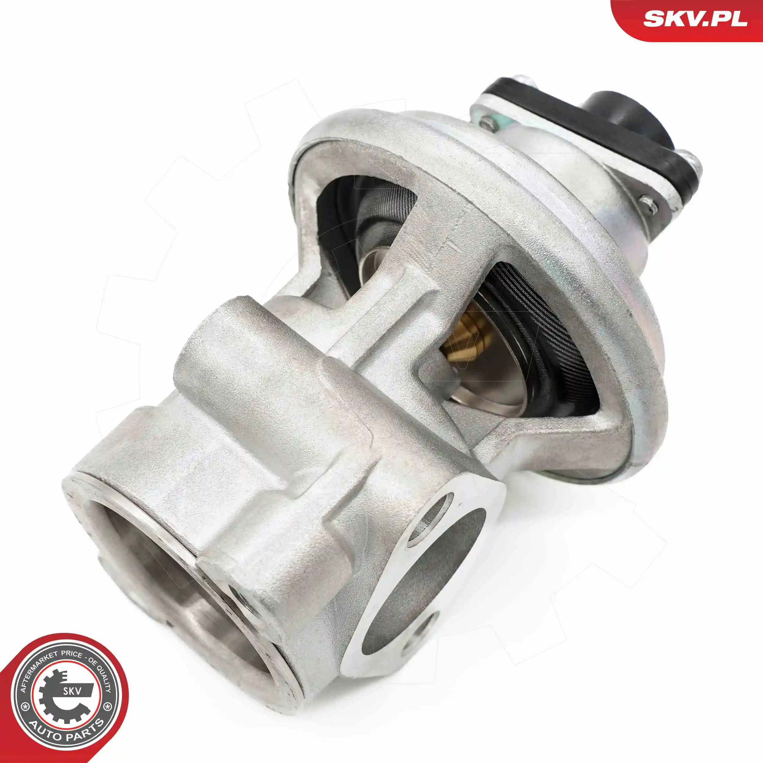 EGR Valve 14SKV269