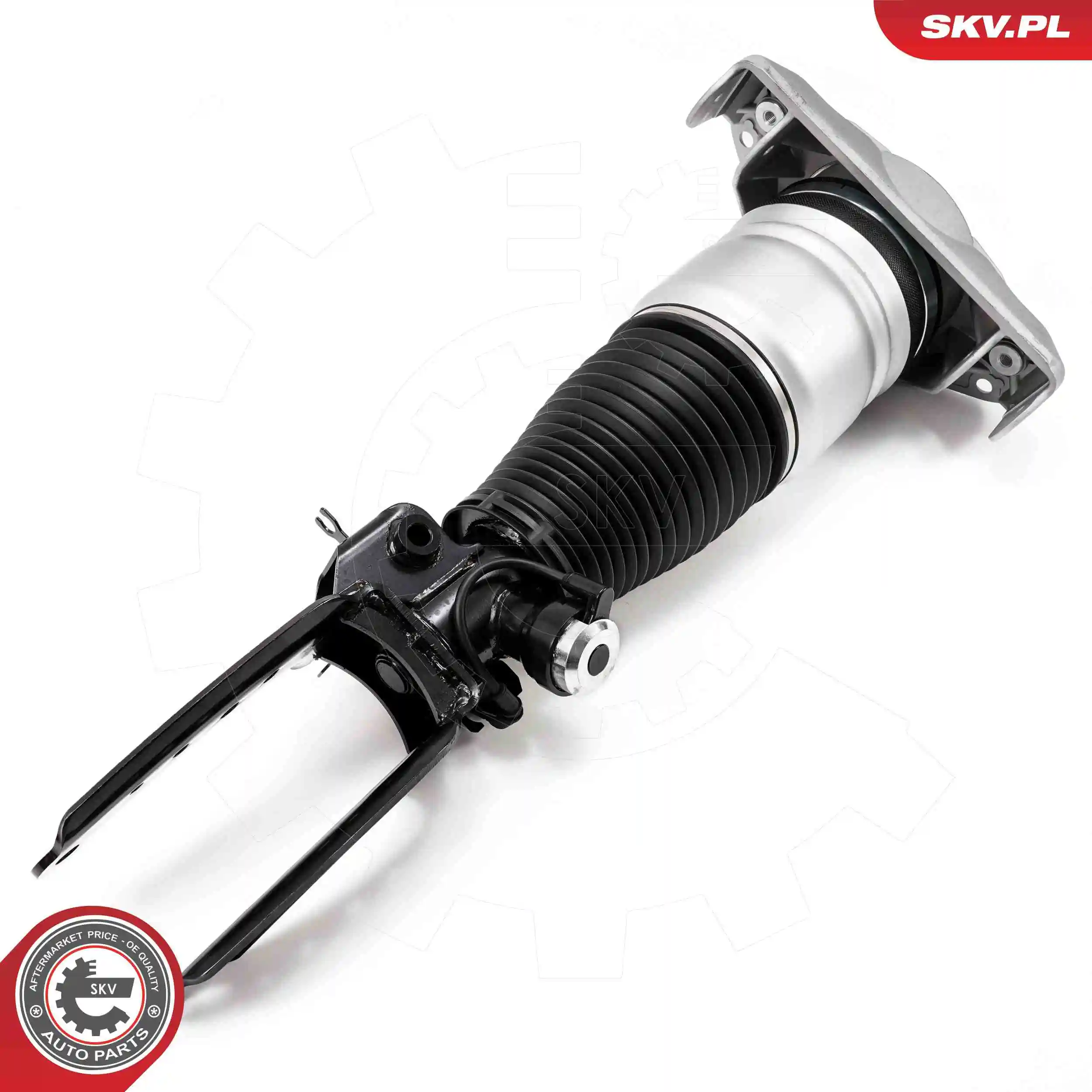 Air Suspension Strut 58SKV704