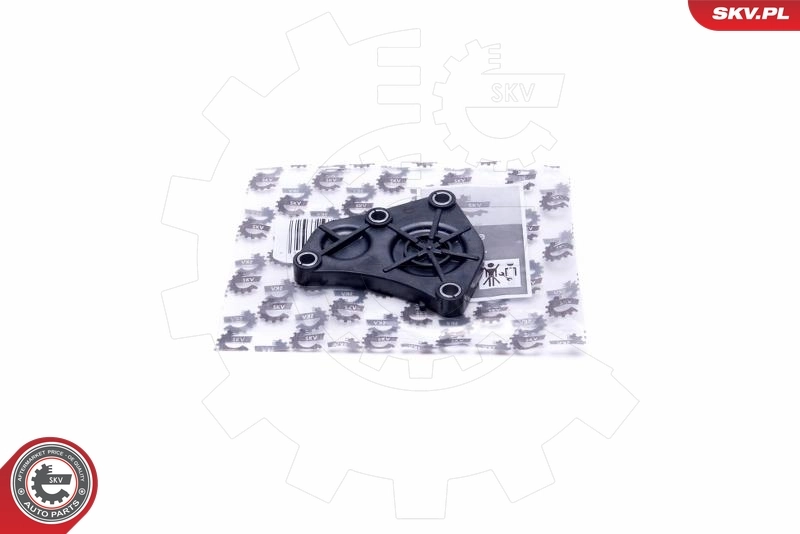 Seal Cap, camshaft 96SKV215