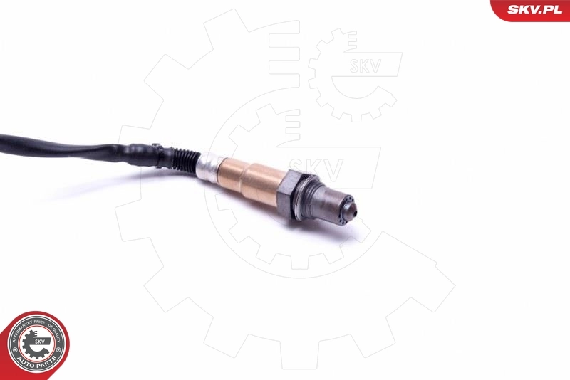 Oxygen Sensor 09SKV433