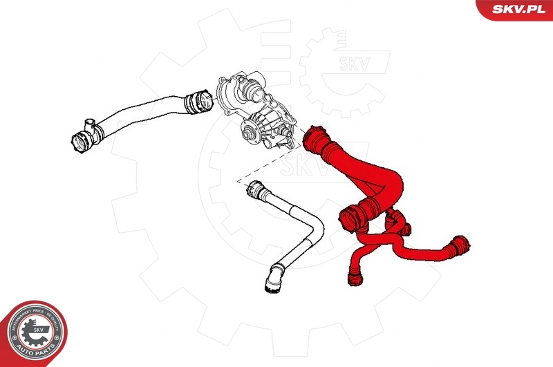 Radiator Hose 24SKV245