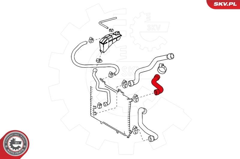 Radiator Hose 24SKV296