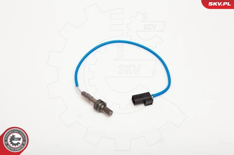 Oxygen Sensor 09SKV012