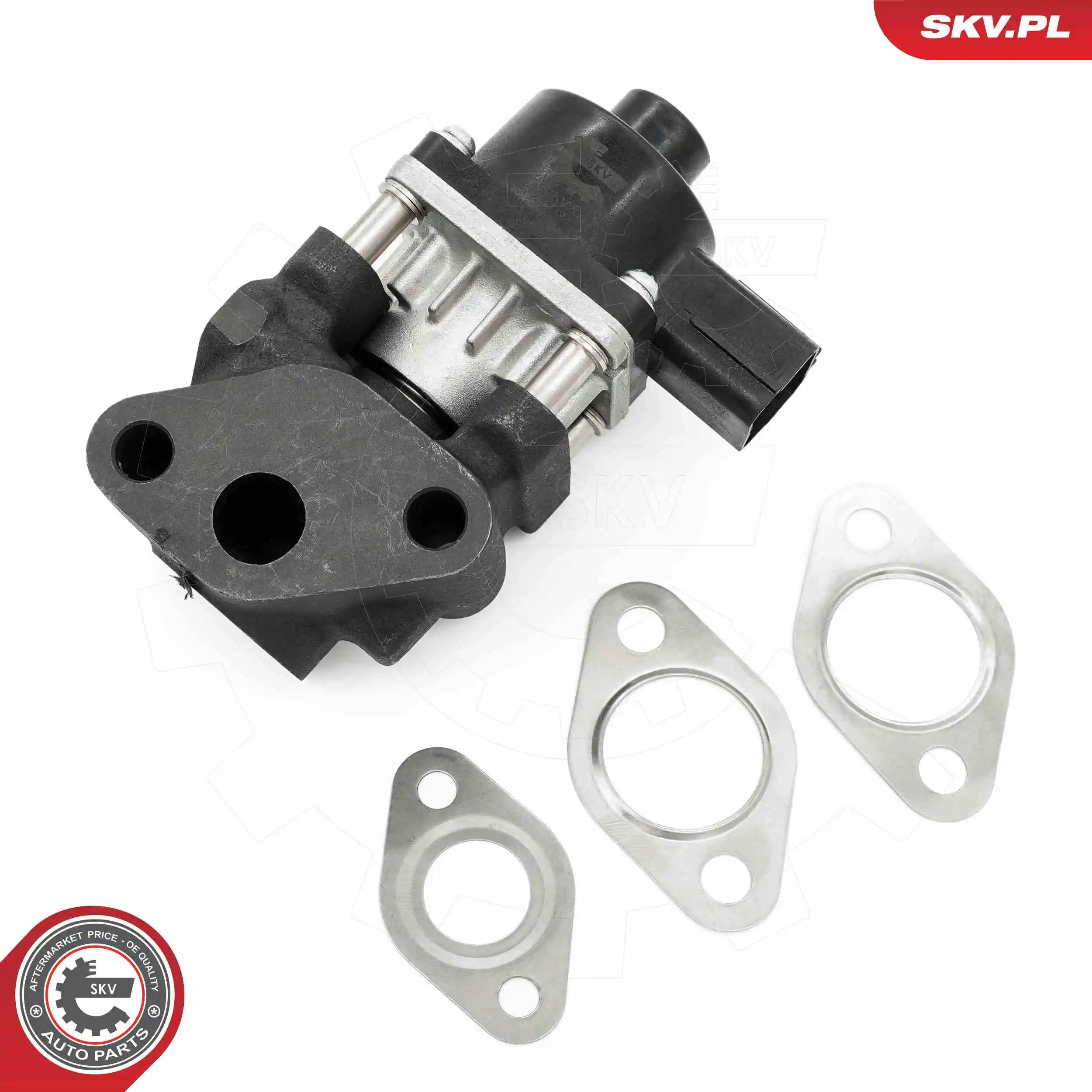 ESEN SKV 14SKV260 EGR Valve