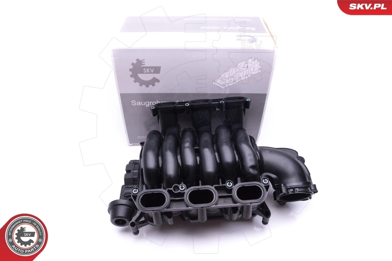 Intake Manifold Module 49SKV004