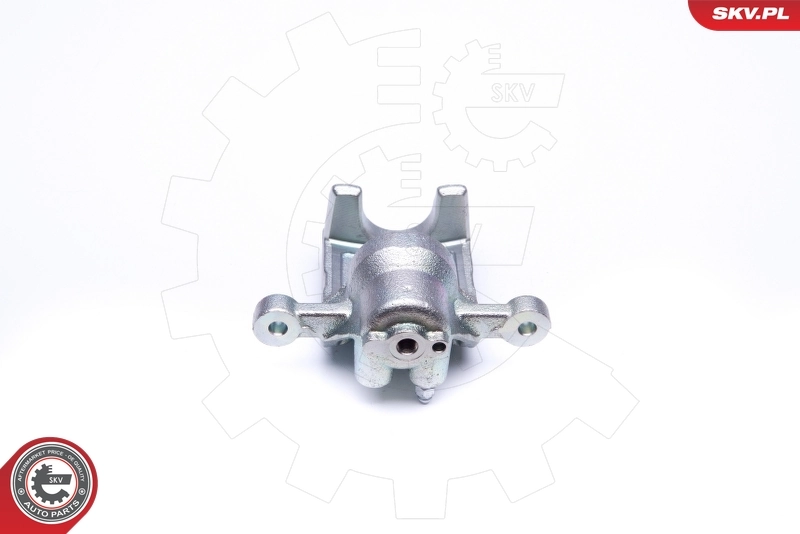 Brake Caliper 45SKV194
