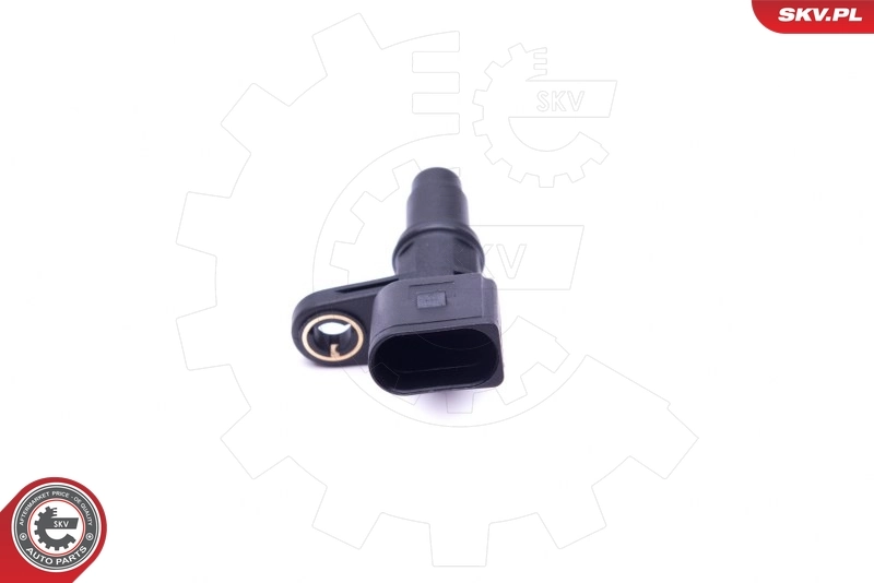 Sensor, camshaft position 17SKV487