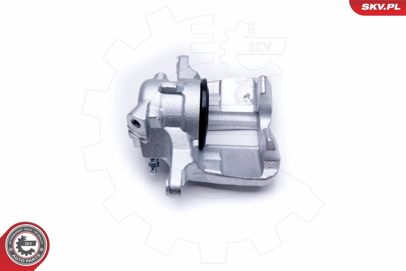 Brake Caliper 50SKV331
