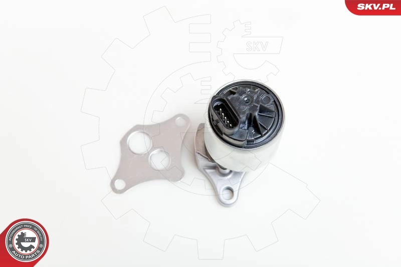 EGR Valve 14SKV037