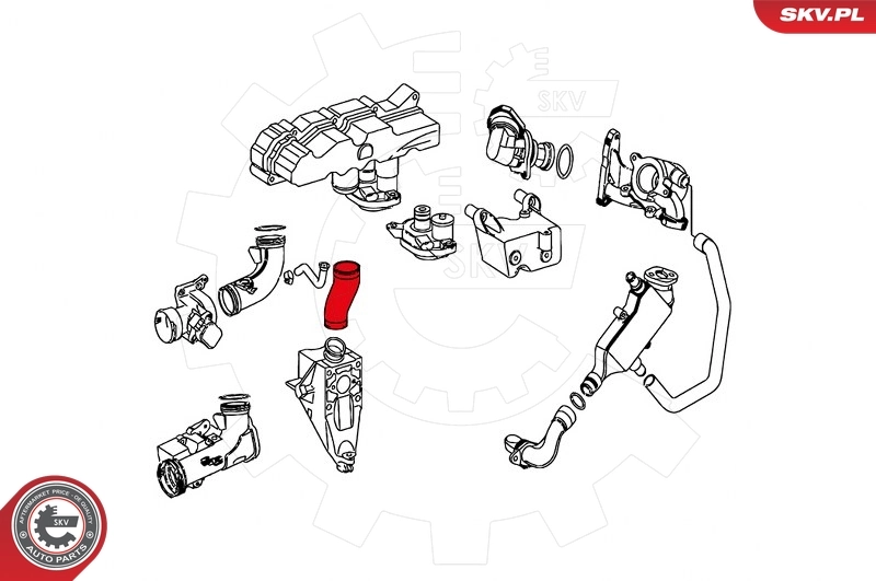 Charge Air Hose 24SKV710