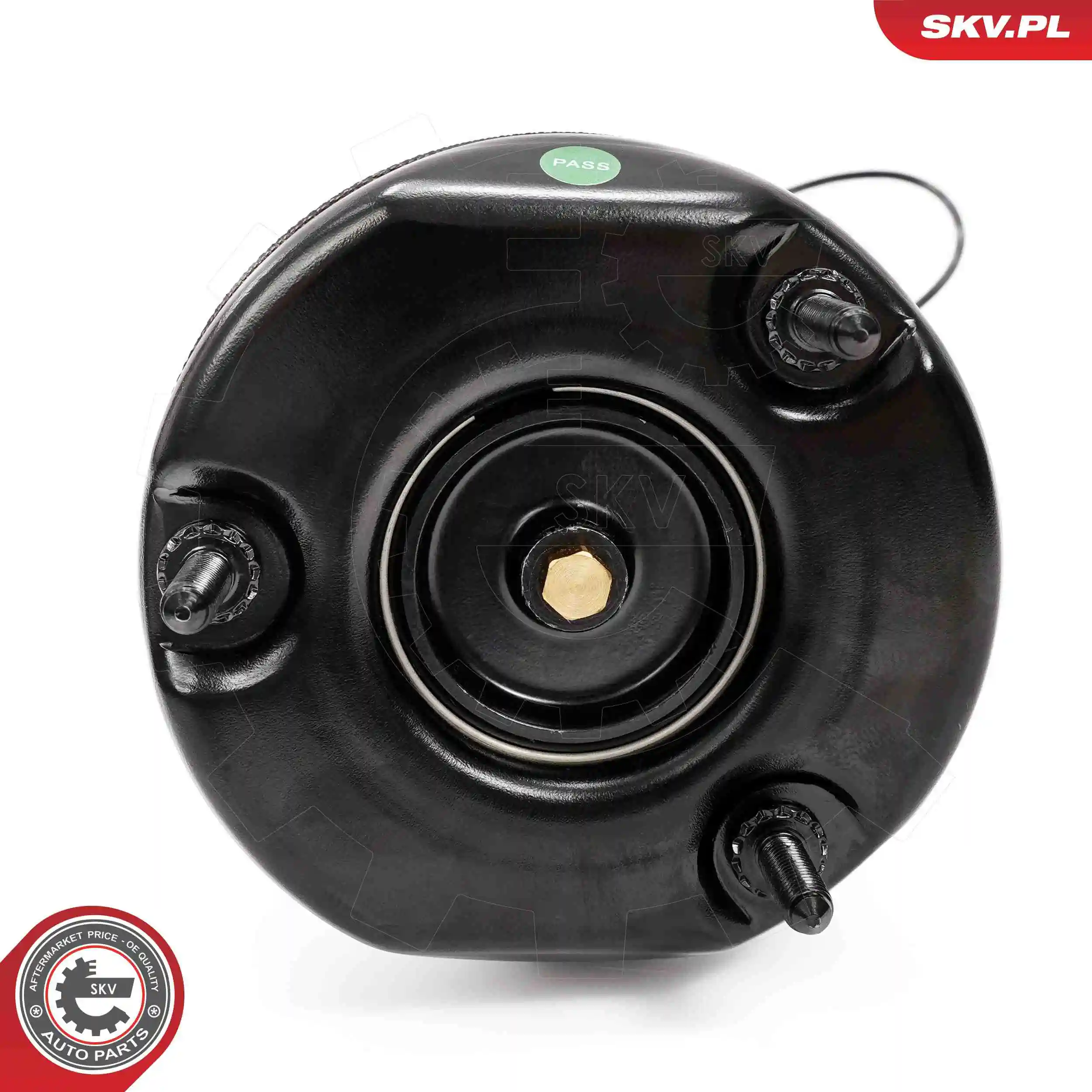 Air Suspension Strut 58SKV723