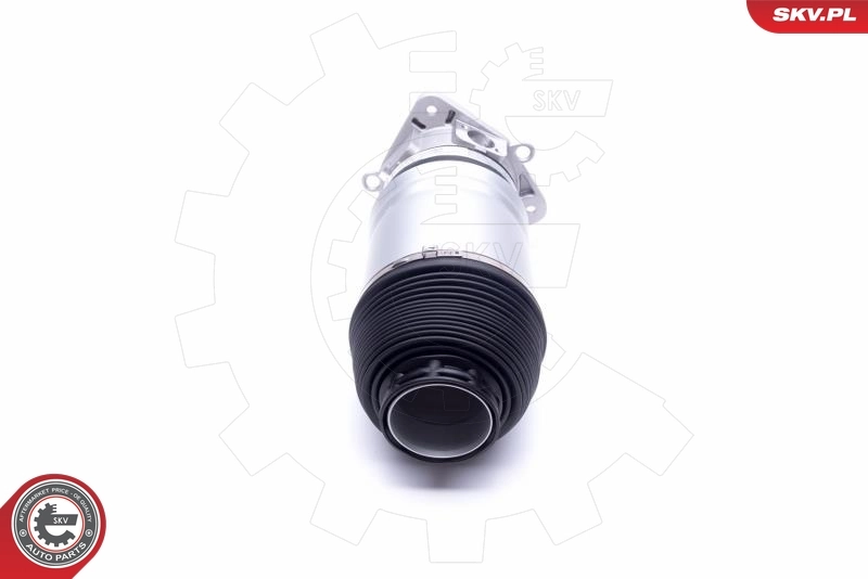 Air Suspension Strut 58SKV068