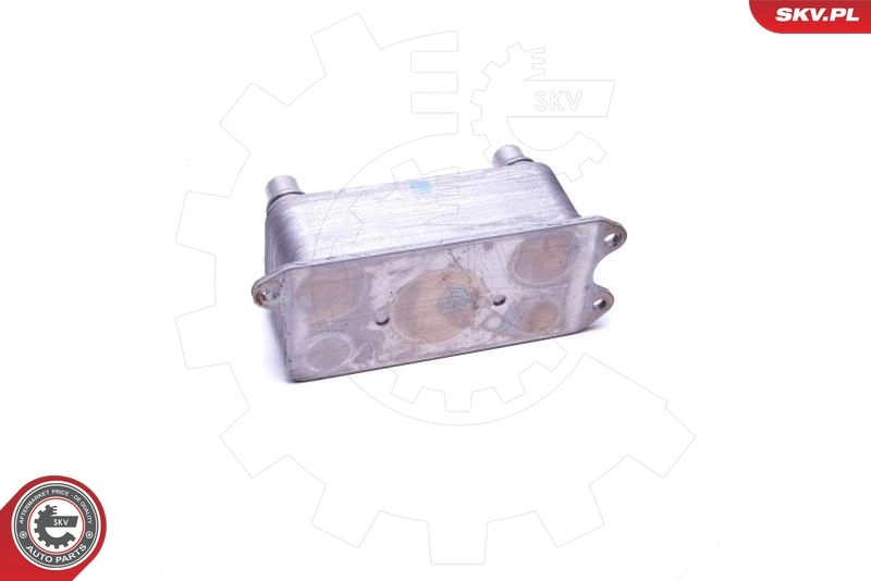 Oil Cooler, engine oil 31SKV215