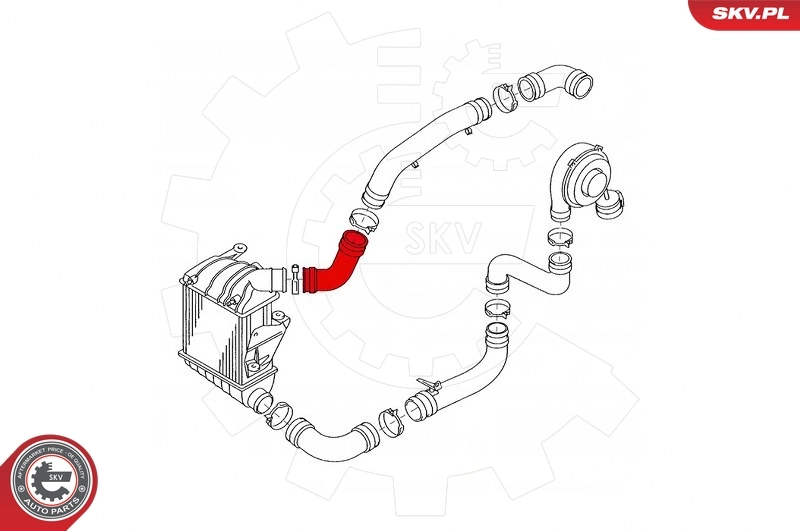 Charge Air Hose 43SKV004