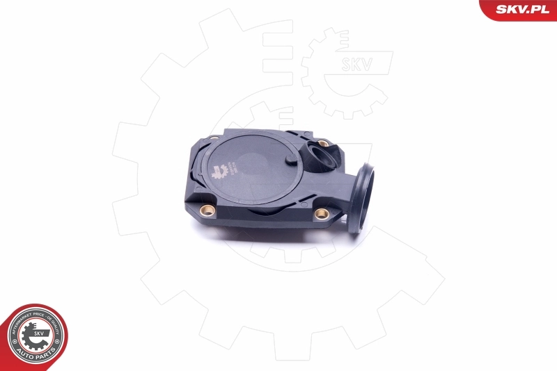 Valve, crankcase ventilation 31SKV074