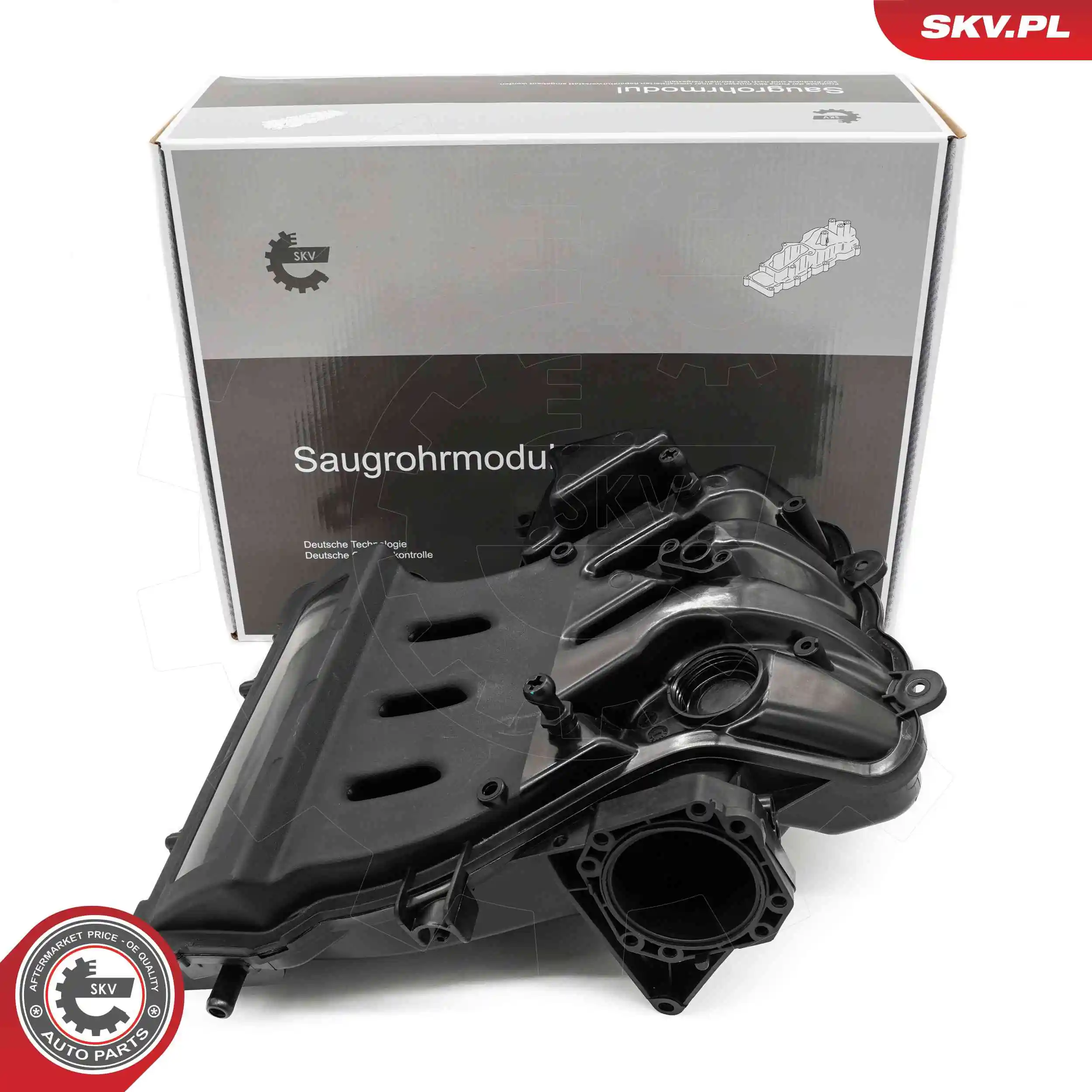 Intake Manifold Module 49SKV088
